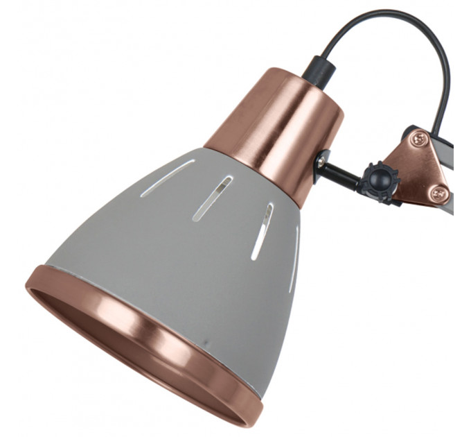 Настольная лампа Picchio Arte Lamp A2246LT-1GY