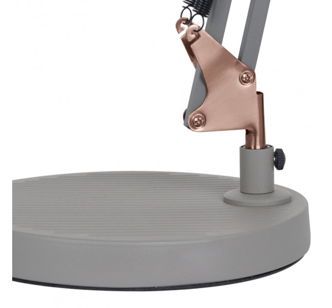 Настольная лампа Picchio Arte Lamp A2246LT-1GY