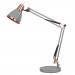 Настольная лампа Picchio Arte Lamp A2246LT-1GY
