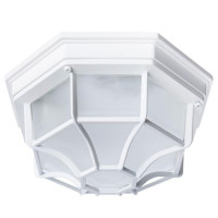 Уличный потолочный светильник Pegasus Arte Lamp белый A3100PL-1WH
