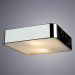 Потолочный светильник Cosmopolitan Arte Lamp A7210PL-2CC