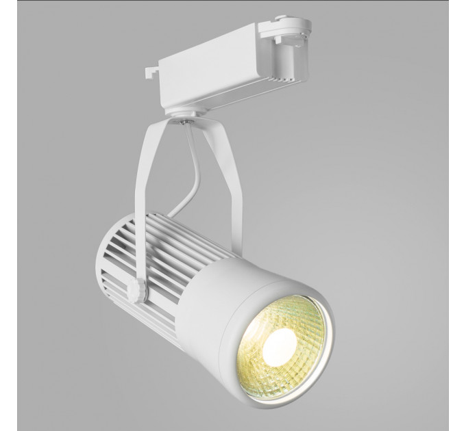 Трековый светильник Arte Lamp RICORDO A6330PL-1WH