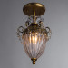 Потолочный светильник Schelenberg Arte Lamp A4410PL-1SR