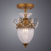 Потолочный светильник Schelenberg Arte Lamp A4410PL-1SR