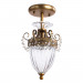 Потолочный светильник Schelenberg Arte Lamp A4410PL-1SR