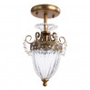Потолочный светильник Schelenberg Arte Lamp A4410PL-1SR