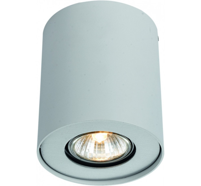 Накладной светильник Falcon Arte Lamp A5633PL-1WH