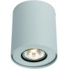 Накладной светильник Falcon Arte Lamp A5633PL-1WH
