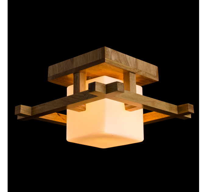 Потолочный светильник Woods Arte Lamp A8252PL-1BR