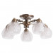 Потолочная люстра Malina Arte Lamp A7695PL-5AB