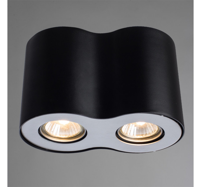 Накладной светильник Falcon Arte Lamp A5633PL-2BK