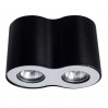 Накладной светильник Falcon Arte Lamp A5633PL-2BK