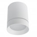 Светильник Arte Lamp ELLE A1949PL-1WH
