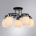 Потолочная люстра Krit Arte Lamp A4505PL-5BK
