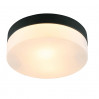 Светильник Arte Lamp AQUA-TABLET A6047PL-2BK