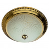 Светильник Arte Lamp ALTA A3013PL-2GO