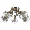 Потолочная люстра Alessandra Arte Lamp 5*40W Е14 A5004PL-5AB