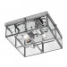 Потолочный светильник Scacchi Arte Lamp A6769PL-2CC