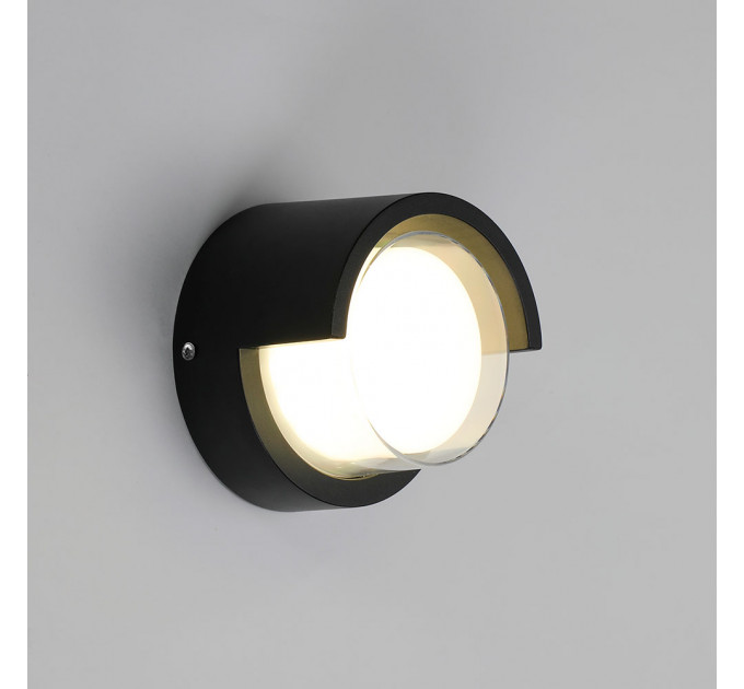 Уличный настенный светильник Arte Lamp ULYSSES A8909AL-1BK