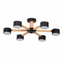 Потолочная люстра Arte Lamp TENDA A1624PL-6BK