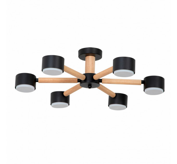 Потолочная люстра Arte Lamp TENDA A1624PL-6BK