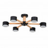 Потолочная люстра Arte Lamp TENDA A1624PL-6BK