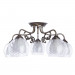 Потолочная люстра Charlotte Arte Lamp A7062PL-5AB