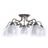 Потолочная люстра Charlotte Arte Lamp A7062PL-5AB