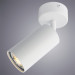 Спот Aquarius Arte Lamp белый A3216PL-1WH