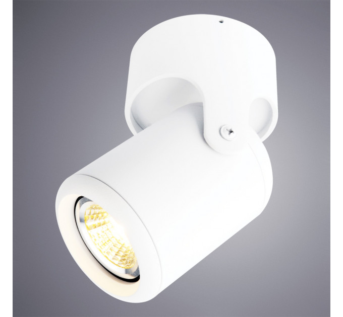 Накладной светильник Libra Arte Lamp A3316PL-1WH