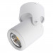 Накладной светильник Libra Arte Lamp A3316PL-1WH
