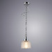 Подвесной светильник Ricardo Arte Lamp 1*40W Е27 хром A9186SP-1CC