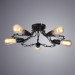Потолочная люстра Riverrun Arte Lamp 5*40W Е27 A9344PL-5BK