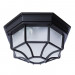 Уличный потолочный светильник Pegasus Arte Lamp черный A3100PL-1BK