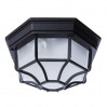 Уличный потолочный светильник Pegasus Arte Lamp черный A3100PL-1BK