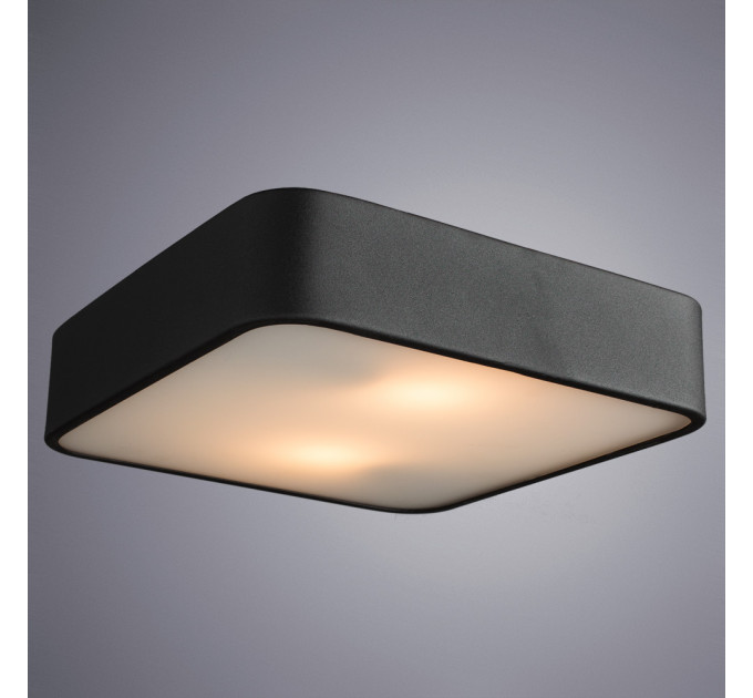 Потолочный светильник Cosmopolitan Arte Lamp A7210PL-2BK