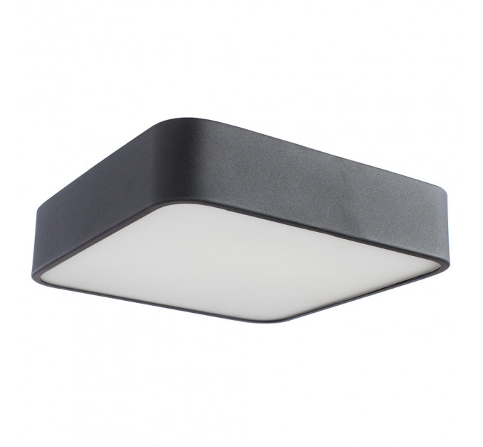 Потолочный светильник Cosmopolitan Arte Lamp A7210PL-2BK