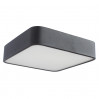 Потолочный светильник Cosmopolitan Arte Lamp A7210PL-2BK