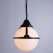 Подвесной уличный светильник Monaco Arte Lamp черный A1495SO-1BK