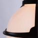Подвесной уличный светильник Monaco Arte Lamp черный A1495SO-1BK