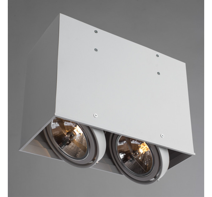 Светильник Arte Lamp CARDANI GRANDE A5936PL-2WH