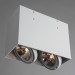 Светильник Arte Lamp CARDANI GRANDE A5936PL-2WH