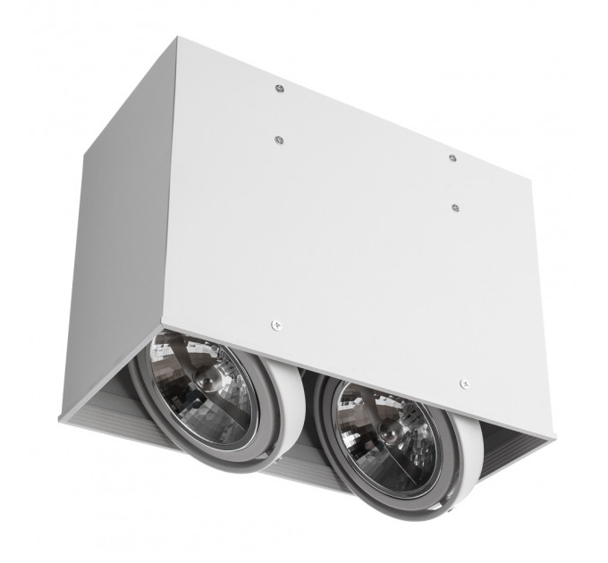 Светильник Arte Lamp CARDANI GRANDE A5936PL-2WH