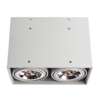 Светильник Arte Lamp CARDANI GRANDE A5936PL-2WH