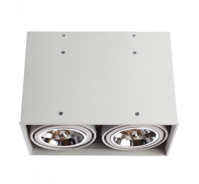 Светильник Arte Lamp CARDANI GRANDE A5936PL-2WH