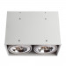 Светильник Arte Lamp CARDANI GRANDE A5936PL-2WH