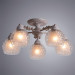 Потолочная люстра Malina Arte Lamp A7695PL-5WG