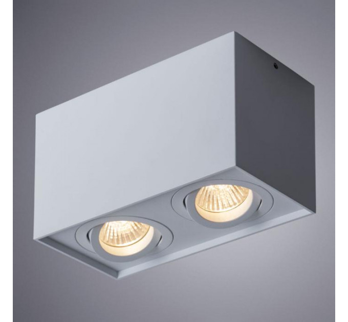 Накладной светильник Factor Arte Lamp A5544PL-2WH