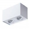 Накладной светильник Factor Arte Lamp A5544PL-2WH