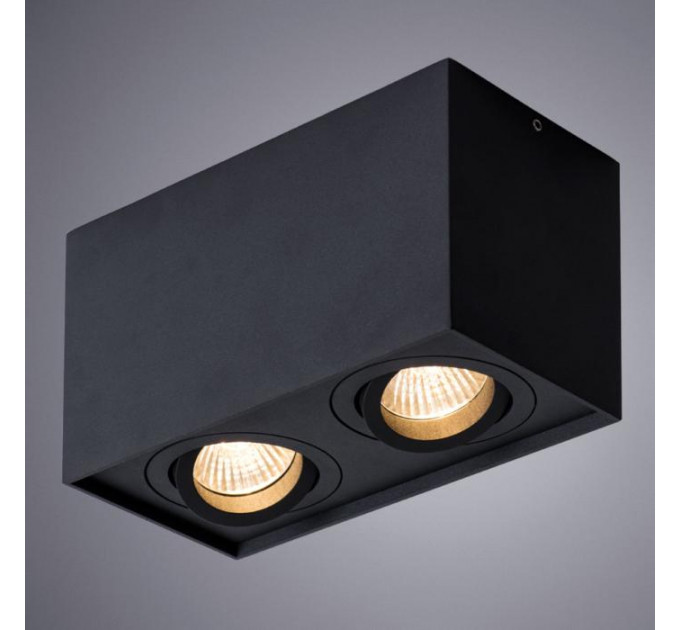 Накладной светильник Factor Arte Lamp A5544PL-2BK